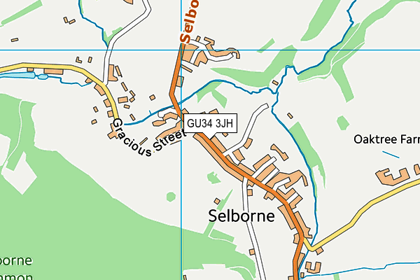 GU34 3JH map - OS VectorMap District (Ordnance Survey) GU34 3JH map - OS VectorMap District (Ordnance Survey)