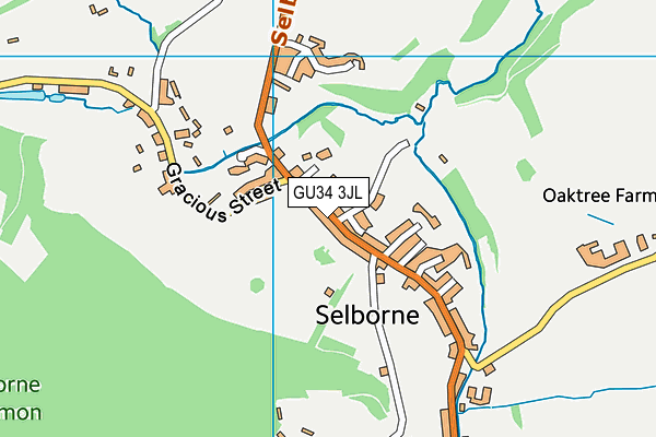 GU34 3JL map - OS VectorMap District (Ordnance Survey) GU34 3JL map - OS VectorMap District (Ordnance Survey)