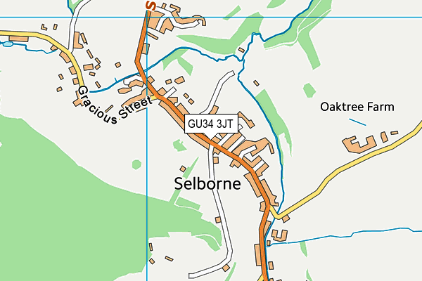 GU34 3JT map - OS VectorMap District (Ordnance Survey) GU34 3JT map - OS VectorMap District (Ordnance Survey)