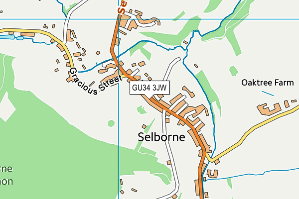 GU34 3JW map - OS VectorMap District (Ordnance Survey) GU34 3JW map - OS VectorMap District (Ordnance Survey)
