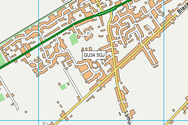 GU34 5GJ map - OS VectorMap District (Ordnance Survey) GU34 5GJ map - OS VectorMap District (Ordnance Survey)