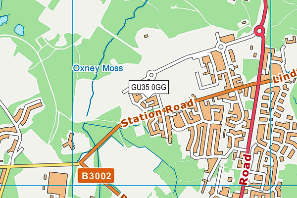 GU35 0GG map - OS VectorMap District (Ordnance Survey) GU35 0GG map - OS VectorMap District (Ordnance Survey)