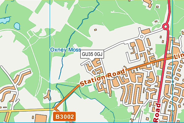 GU35 0GJ map - OS VectorMap District (Ordnance Survey) GU35 0GJ map - OS VectorMap District (Ordnance Survey)