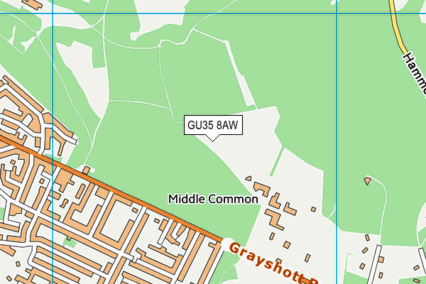 GU35 8AW map - OS VectorMap District (Ordnance Survey) GU35 8AW map - OS VectorMap District (Ordnance Survey)