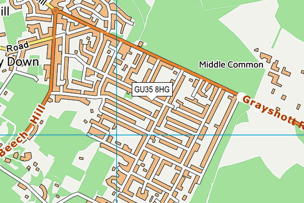 GU35 8HG map - OS VectorMap District (Ordnance Survey) GU35 8HG map - OS VectorMap District (Ordnance Survey)