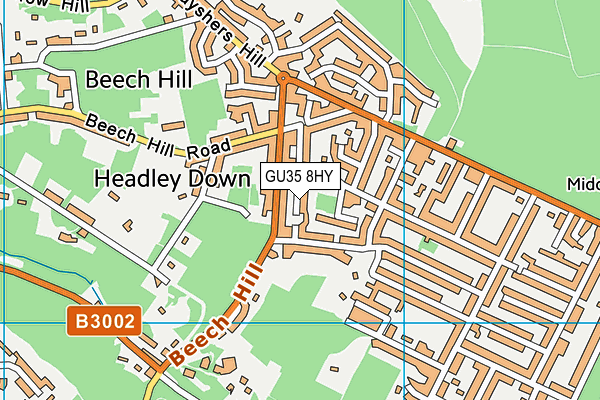 GU35 8HY map - OS VectorMap District (Ordnance Survey) GU35 8HY map - OS VectorMap District (Ordnance Survey)