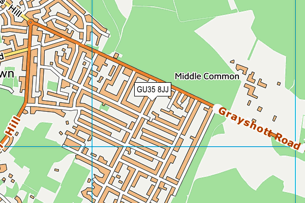 GU35 8JJ map - OS VectorMap District (Ordnance Survey) GU35 8JJ map - OS VectorMap District (Ordnance Survey)