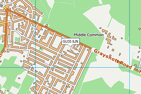 GU35 8JN map - OS VectorMap District (Ordnance Survey) GU35 8JN map - OS VectorMap District (Ordnance Survey)