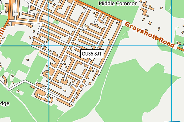 GU35 8JT map - OS VectorMap District (Ordnance Survey) GU35 8JT map - OS VectorMap District (Ordnance Survey)