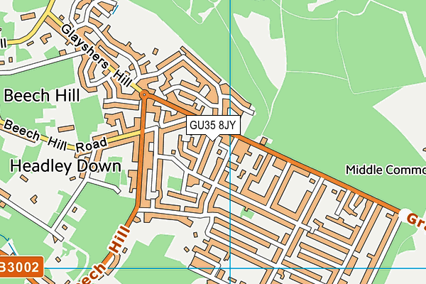 GU35 8JY map - OS VectorMap District (Ordnance Survey) GU35 8JY map - OS VectorMap District (Ordnance Survey)