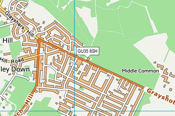 GU35 8SH map - OS VectorMap District (Ordnance Survey) GU35 8SH map - OS VectorMap District (Ordnance Survey)