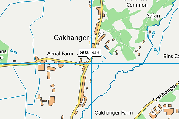 GU35 9JH map - OS VectorMap District (Ordnance Survey) GU35 9JH map - OS VectorMap District (Ordnance Survey)