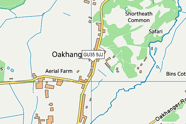 GU35 9JJ map - OS VectorMap District (Ordnance Survey) GU35 9JJ map - OS VectorMap District (Ordnance Survey)