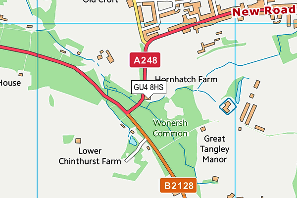 GU4 8HS map - OS VectorMap District (Ordnance Survey) GU4 8HS map - OS VectorMap District (Ordnance Survey)