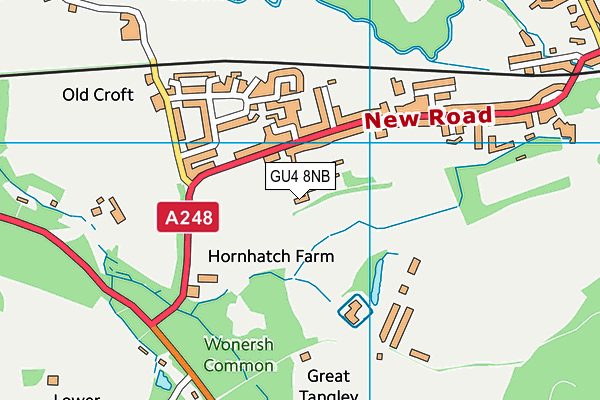 GU4 8NB map - OS VectorMap District (Ordnance Survey) GU4 8NB map - OS VectorMap District (Ordnance Survey)