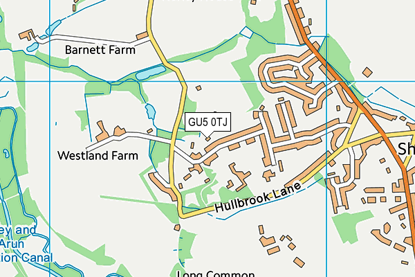 GU5 0TJ map - OS VectorMap District (Ordnance Survey) GU5 0TJ map - OS VectorMap District (Ordnance Survey)