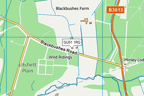 GU51 1RQ map - OS VectorMap District (Ordnance Survey) GU51 1RQ map - OS VectorMap District (Ordnance Survey)