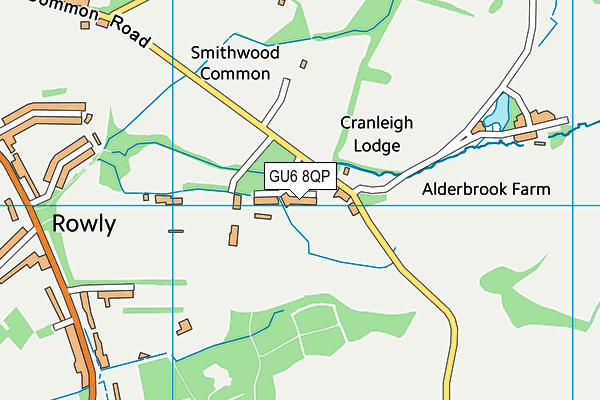 GU6 8QP map - OS VectorMap District (Ordnance Survey) GU6 8QP map - OS VectorMap District (Ordnance Survey)