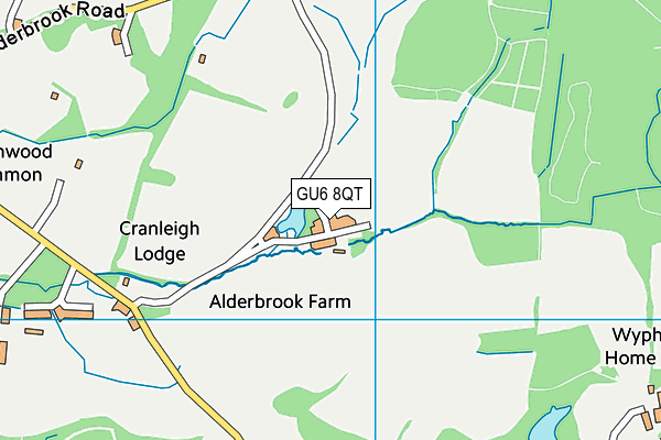 GU6 8QT map - OS VectorMap District (Ordnance Survey) GU6 8QT map - OS VectorMap District (Ordnance Survey)