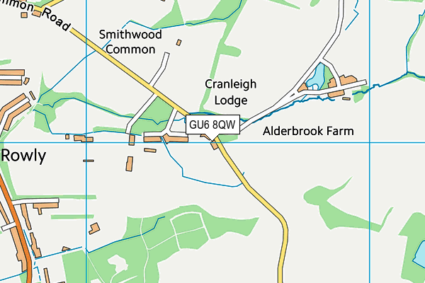 GU6 8QW map - OS VectorMap District (Ordnance Survey) GU6 8QW map - OS VectorMap District (Ordnance Survey)
