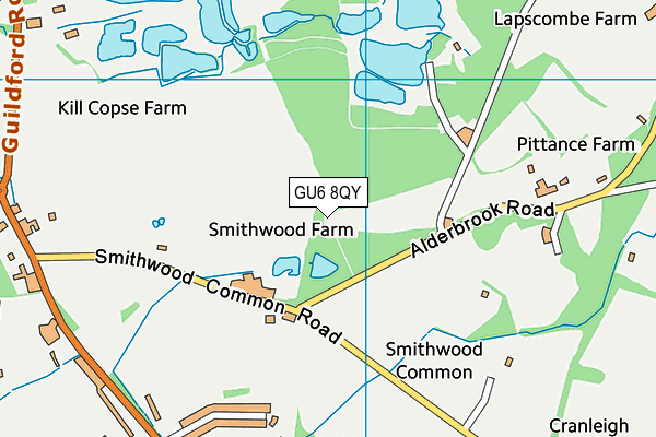 GU6 8QY map - OS VectorMap District (Ordnance Survey) GU6 8QY map - OS VectorMap District (Ordnance Survey)