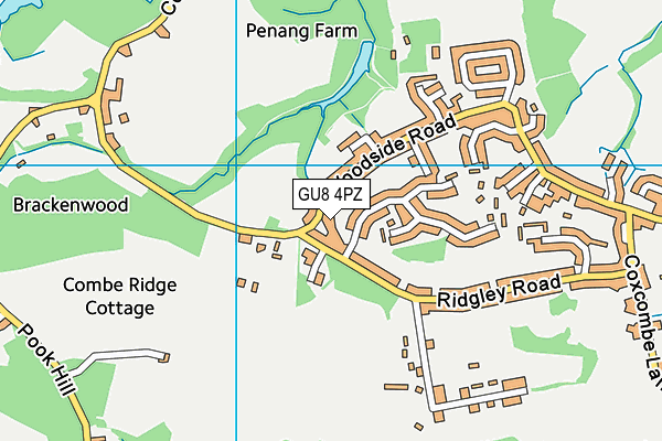 GU8 4PZ map - OS VectorMap District (Ordnance Survey) GU8 4PZ map - OS VectorMap District (Ordnance Survey)