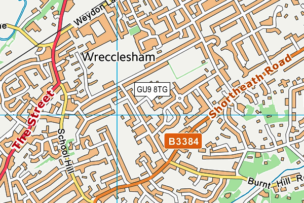 GU9 8TG map - OS VectorMap District (Ordnance Survey)
