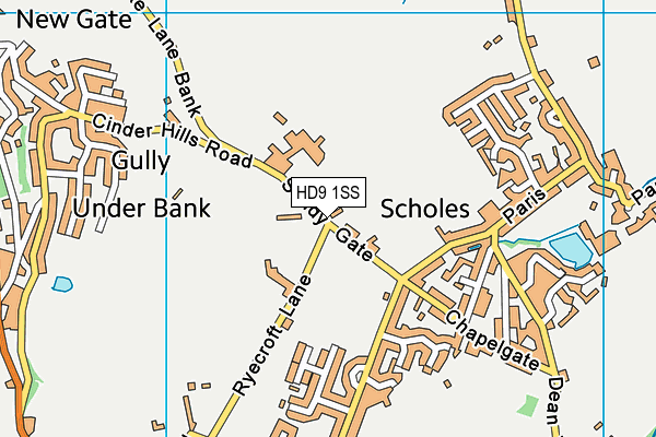 HD9 1SS map - OS VectorMap District (Ordnance Survey) HD9 1SS map - OS VectorMap District (Ordnance Survey)