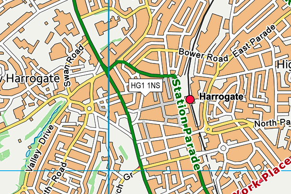 HG1 1NS map - OS VectorMap District (Ordnance Survey) HG1 1NS map - OS VectorMap District (Ordnance Survey)