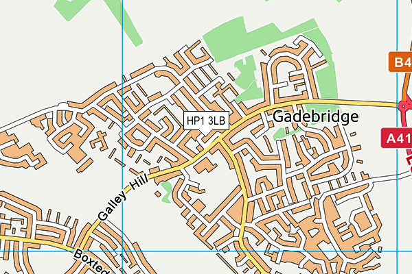 HP1 3LB map - OS VectorMap District (Ordnance Survey) HP1 3LB map - OS VectorMap District (Ordnance Survey)
