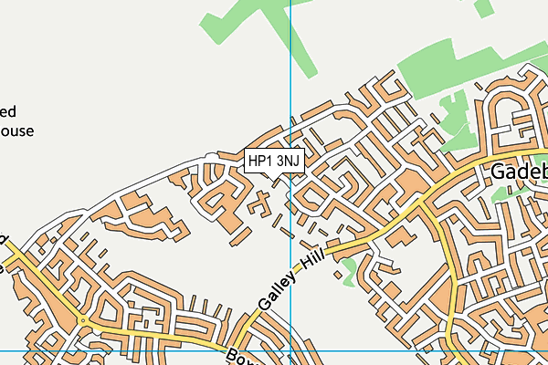 HP1 3NJ map - OS VectorMap District (Ordnance Survey) HP1 3NJ map - OS VectorMap District (Ordnance Survey)