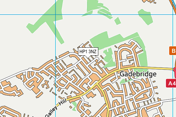 HP1 3NZ map - OS VectorMap District (Ordnance Survey) HP1 3NZ map - OS VectorMap District (Ordnance Survey)