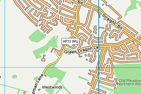 HP10 9PU map - OS VectorMap District (Ordnance Survey) HP10 9PU map - OS VectorMap District (Ordnance Survey)