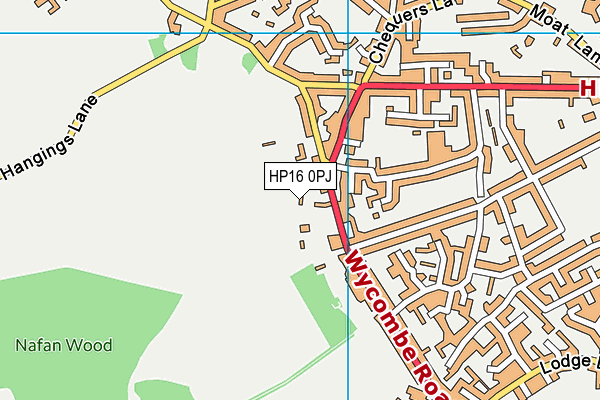HP16 0PJ map - OS VectorMap District (Ordnance Survey) HP16 0PJ map - OS VectorMap District (Ordnance Survey)