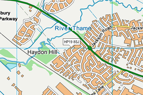 HP19 8SJ map - OS VectorMap District (Ordnance Survey) HP19 8SJ map - OS VectorMap District (Ordnance Survey)