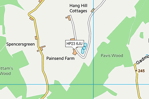 HP23 6JU map - OS VectorMap District (Ordnance Survey) HP23 6JU map - OS VectorMap District (Ordnance Survey)