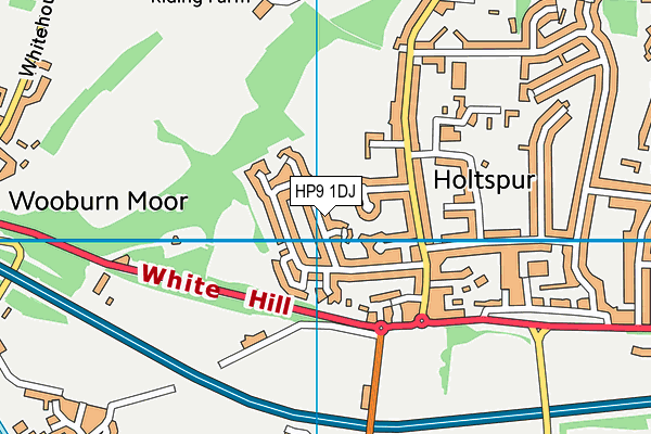 HP9 1DJ map - OS VectorMap District (Ordnance Survey) HP9 1DJ map - OS VectorMap District (Ordnance Survey)