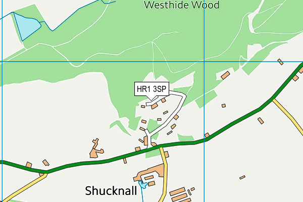 HR1 3SP map - OS VectorMap District (Ordnance Survey) HR1 3SP map - OS VectorMap District (Ordnance Survey)