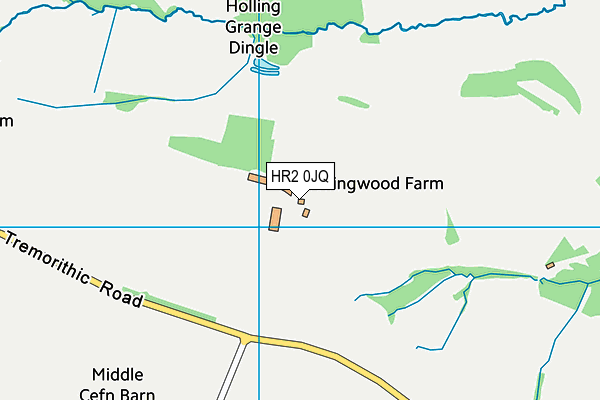 HR2 0JQ map - OS VectorMap District (Ordnance Survey) HR2 0JQ map - OS VectorMap District (Ordnance Survey)