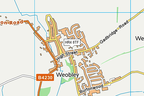HR4 8TF map - OS VectorMap District (Ordnance Survey) HR4 8TF map - OS VectorMap District (Ordnance Survey)