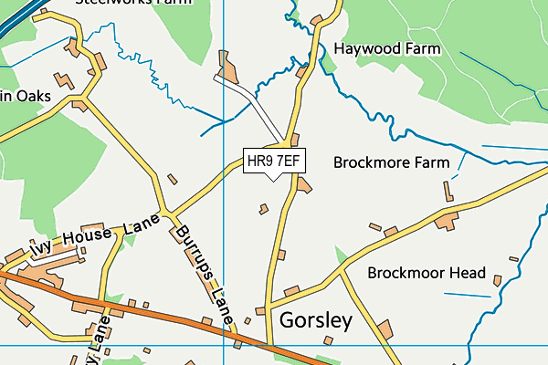 HR9 7EF map - OS VectorMap District (Ordnance Survey) HR9 7EF map - OS VectorMap District (Ordnance Survey)
