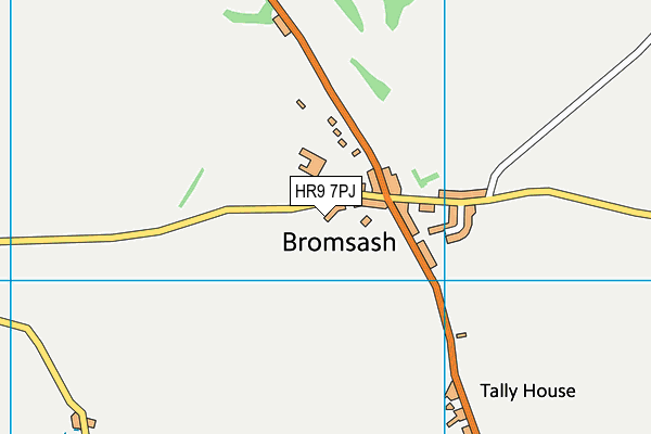 HR9 7PJ map - OS VectorMap District (Ordnance Survey)