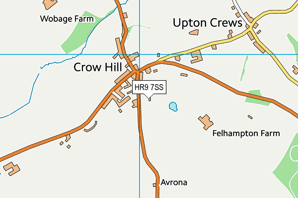HR9 7SS map - OS VectorMap District (Ordnance Survey) HR9 7SS map - OS VectorMap District (Ordnance Survey)