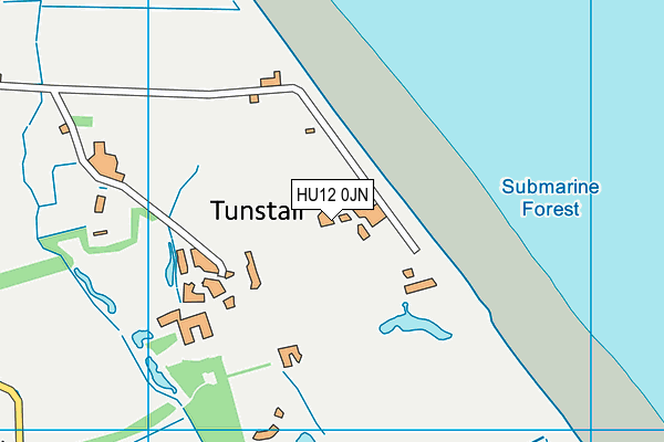 HU12 0JN map - OS VectorMap District (Ordnance Survey) HU12 0JN map - OS VectorMap District (Ordnance Survey)