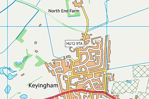 HU12 9TA map - OS VectorMap District (Ordnance Survey) HU12 9TA map - OS VectorMap District (Ordnance Survey)