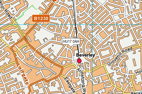 HU17 0AH map - OS VectorMap District (Ordnance Survey) HU17 0AH map - OS VectorMap District (Ordnance Survey)