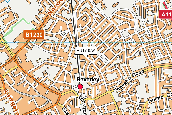 HU17 0AY map - OS VectorMap District (Ordnance Survey) HU17 0AY map - OS VectorMap District (Ordnance Survey)