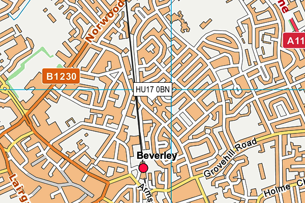 HU17 0BN map - OS VectorMap District (Ordnance Survey) HU17 0BN map - OS VectorMap District (Ordnance Survey)