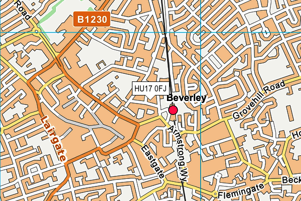 HU17 0FJ map - OS VectorMap District (Ordnance Survey) HU17 0FJ map - OS VectorMap District (Ordnance Survey)