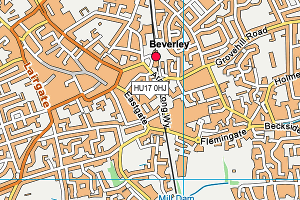 HU17 0HJ map - OS VectorMap District (Ordnance Survey) HU17 0HJ map - OS VectorMap District (Ordnance Survey)